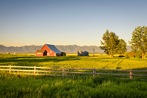 A red barn and silver grain silos sit in a sun-drenched green field behind a wooden rail fence