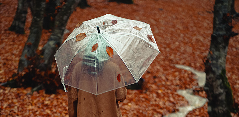 A person viewed from behind holds a clear umbrella dotted with fallen leaves while walking through a forest floor covered in autumn foliage - www.jacaa.co